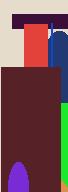 teamviewer exe